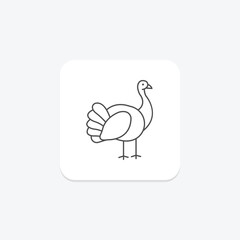 Turkey, vector, pixel perfect, illustrator file