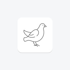 Dove, vector, pixel perfect, illustrator file