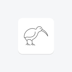 Kiwi, vector, pixel perfect, illustrator file