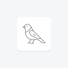 Canary, vector, pixel perfect, illustrator file