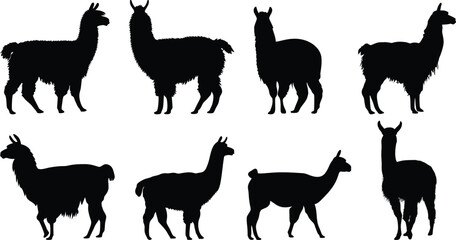 Eight llama silhouettes in various poses displayed against a plain white background image design art