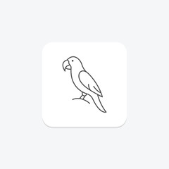 Macaw, vector, pixel perfect, illustrator file
