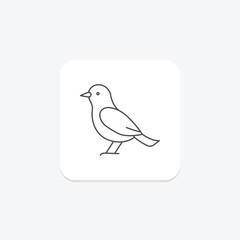 Starling, vector, pixel perfect, illustrator file