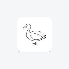 Coot, vector, pixel perfect, illustrator file