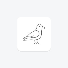 Skua, vector, pixel perfect, illustrator file