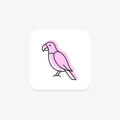 Parrot, vector, pixel perfect, illustrator file