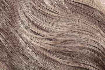 Blond hair close-up as a background. Women's long light brown hair. Beautifully styled wavy shiny...