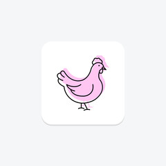 Chicken, vector, pixel perfect, illustrator file