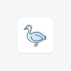 Booby, vector, pixel perfect, illustrator file