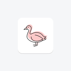 Coot, vector, pixel perfect, illustrator file