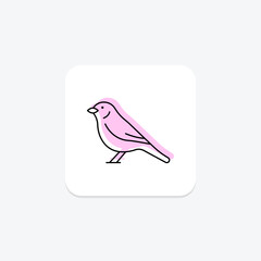 Yellowhammer, vector, pixel perfect, illustrator file