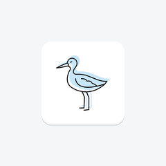 Avocet, vector, pixel perfect, illustrator file