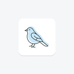 Bulbul, vector, pixel perfect, illustrator file