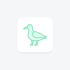 Seagull, vector, pixel perfect, illustrator file