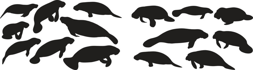 A group of manatee silhouettes in different poses against a white background in two separate clusters