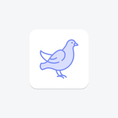 Dove, vector, pixel perfect, illustrator file