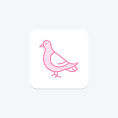 Pigeon, vector, pixel perfect, illustrator file