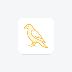 Falcon, vector, pixel perfect, illustrator file