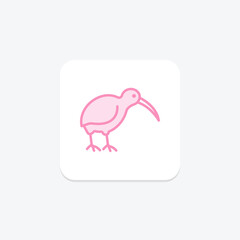 Kiwi, vector, pixel perfect, illustrator file