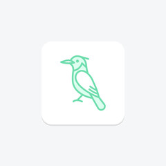 Kingfisher, vector, pixel perfect, illustrator file