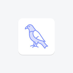 Hawk, vector, pixel perfect, illustrator file