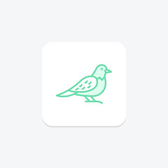 Nightjar, vector, pixel perfect, illustrator file