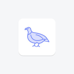 Partridge, vector, pixel perfect, illustrator file