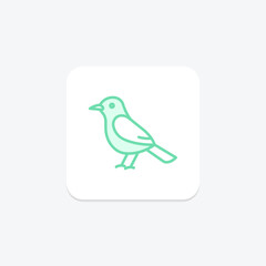 Cochin, vector, pixel perfect, illustrator file