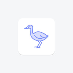 Swamphen, vector, pixel perfect, illustrator file