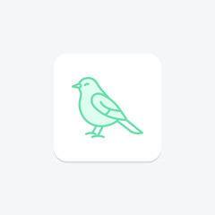 Bulbul, vector, pixel perfect, illustrator file