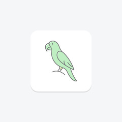 Macaw, vector, pixel perfect, illustrator file