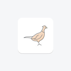 Pheasant, vector, pixel perfect, illustrator file