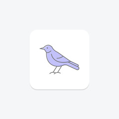 Mockingbird, vector, pixel perfect, illustrator file