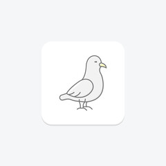Fulmar, vector, pixel perfect, illustrator file