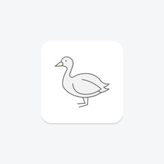 Coot, vector, pixel perfect, illustrator file