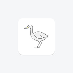 Swamphen, vector, pixel perfect, illustrator file
