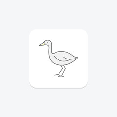 Lapwing, vector, pixel perfect, illustrator file