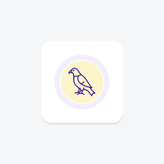 Hawk, vector, pixel perfect, illustrator file