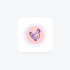Chicken, vector, pixel perfect, illustrator file