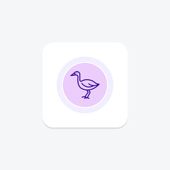 Lapwing, vector, pixel perfect, illustrator file