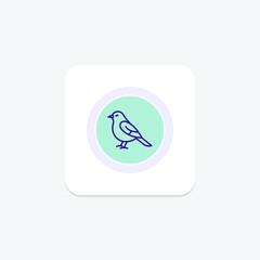 Bulbul, vector, pixel perfect, illustrator file