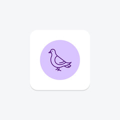 Pigeon, vector, pixel perfect, illustrator file