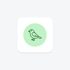 Sparrow, vector, pixel perfect, illustrator file