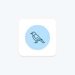 Fototapeta premium Oriole, vector, pixel perfect, illustrator file