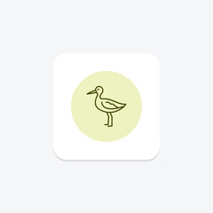 Avocet, vector, pixel perfect, illustrator file