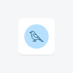 Siskin, vector, pixel perfect, illustrator file