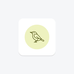 Nuthatch, vector, pixel perfect, illustrator file