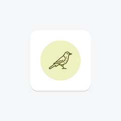 Fieldfare, vector, pixel perfect, illustrator file