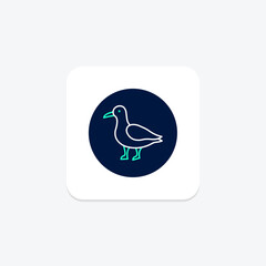 Seagull, vector, pixel perfect, illustrator file