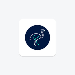 Cassowary, vector, pixel perfect, illustrator file